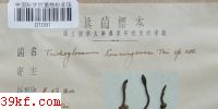  Trichoglossum kunmingense Tai