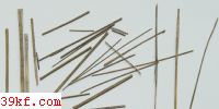  Gymnoconia interstitialis (Schlect.) Lagh.