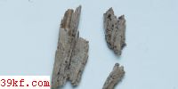  Cladosporium typhae Schw.
