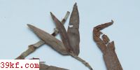  Cercospora symphoricarpi F. & E.