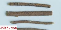  Sphaeropsis triacanthi E. & B.