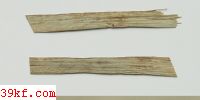  Macrosporium puccinioides Ell & Andrs.