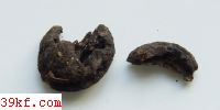  Cladotrichum brassicae E. & B.