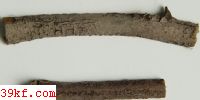  Botryodiplodia gossypii Ell. & Barth.