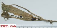  Mollisia atrocinerea (Cke.) Phill.