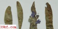  Puccinia pimpinellae (Strauss.) Link.