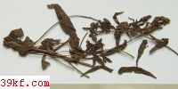 Calosphaeria pulchelloidea (C. & E.) E. & E.