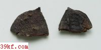  Ceuthosira aesculicarpa Petr.