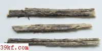  Coleosporium euphrasiae (Schum.) Wint.