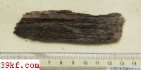  Hymenochaete rubignosa (Schrad) Lev.