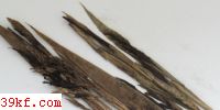  Franzpetrakia okudairae (Miyabe) L. Guo, Vanky & Mordue