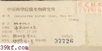  Ganoderma atrum Chao, Hsu et Chang