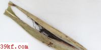  Sorosporium holci-sorghi (Rivolta) Moesz
