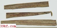  Puccinia cirsii-lanceolati Schroet.