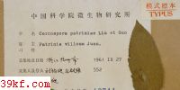  Cercospora patriniae Liu et Guo