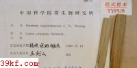  Puccinia wuyishanensis J. Y. Zhuang