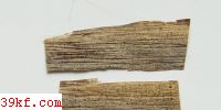  Phragmidium peckianum Arth.