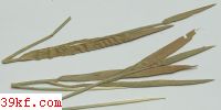  Puccinia clematidis (DC.) Lagh.