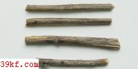 Uromyces pyriformis Cooke