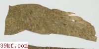  Puccinia bullata (Pers.) Wint.