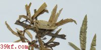 Trichopeziza sulphurea (Pers.)