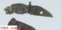  Dichaena strumosa Fr.