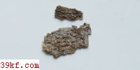  Rossellinia geasteroides E. & E.