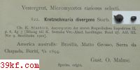  Sphaerella fuscata Ell.