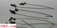  Anthracoidea kanasensis H. C. Zhang & L. Guo