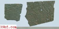  Phragmidium rubi (Pers.)