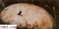 ׳ Catathelasma imperiale (Fr.) Sing.