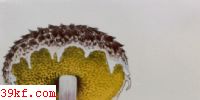 ţξ Boletellus ananas (Curt.) Murr.