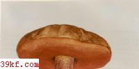 ţξ Boletus erythropus (Fr. : Fr.) Pers.