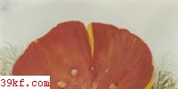 ߻ƹ Russula aurata (With.) Fr.