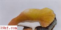 ׾ Polyporus varius Pers. : Fr.